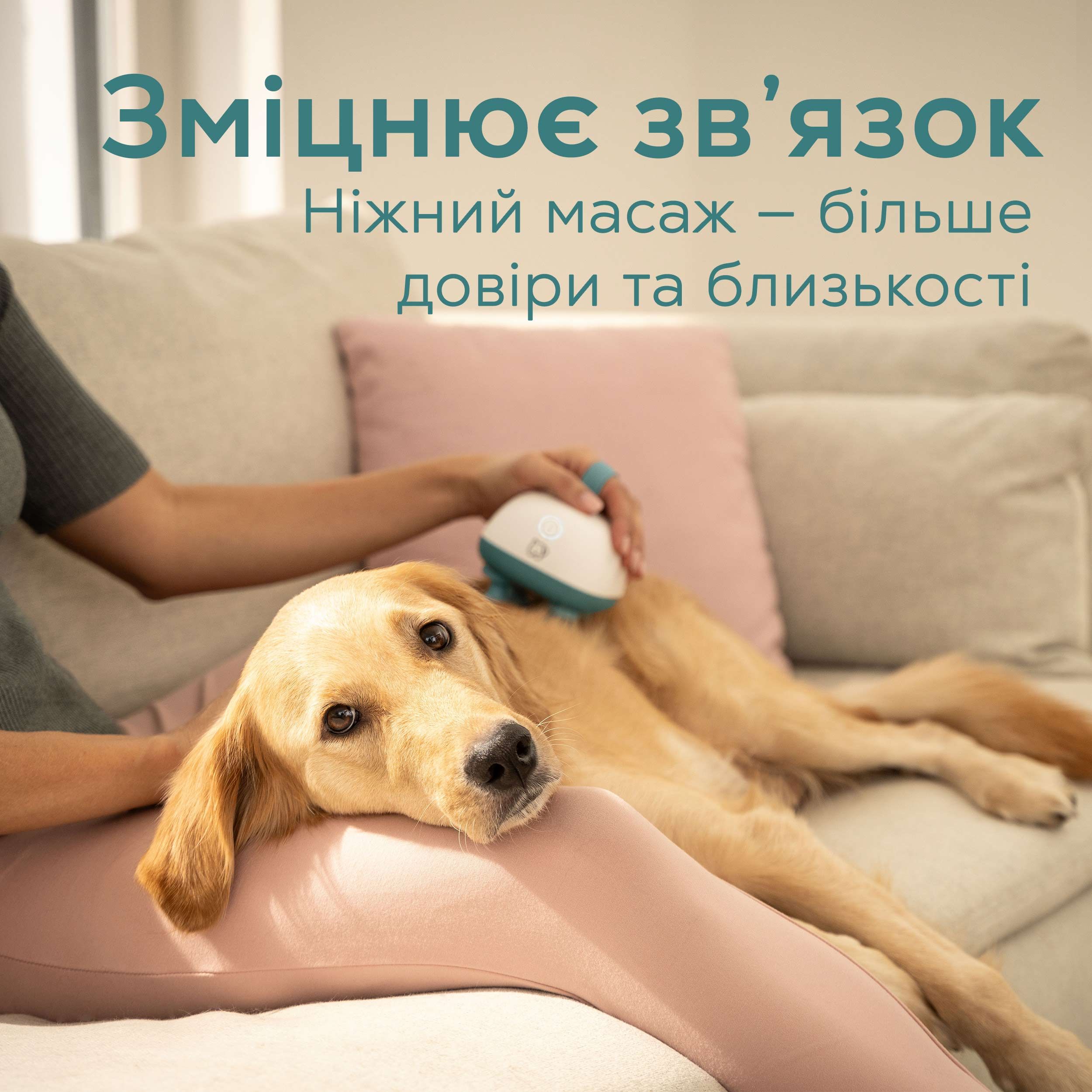 Масажер для тварин Buddy PP 410